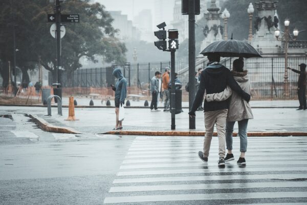 The Pedestrian's Handbook: Creating Safety Awareness for Road Users