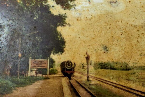 "View of the Palakkad-Pollachi Railway Line with lush greenery, showcasing the scenic route connecting Kerala and Tamil Nadu, highlighting the historic and underutilized railway track."