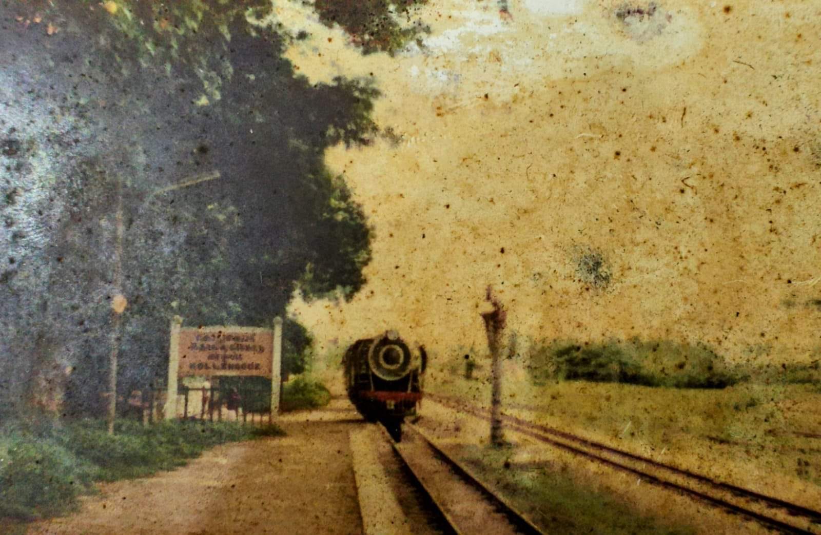 "View of the Palakkad-Pollachi Railway Line with lush greenery, showcasing the scenic route connecting Kerala and Tamil Nadu, highlighting the historic and underutilized railway track."